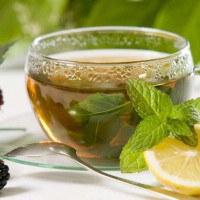 طرح کسب و کار توليد چاي كيسه اي گياهان داروئي