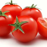 طرح توجیهی تولید محصولات و مشتقات گوجه فرنگی