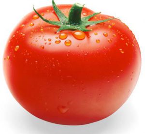 طرح کارآفرینی توليد پودر گوجه فرنگي